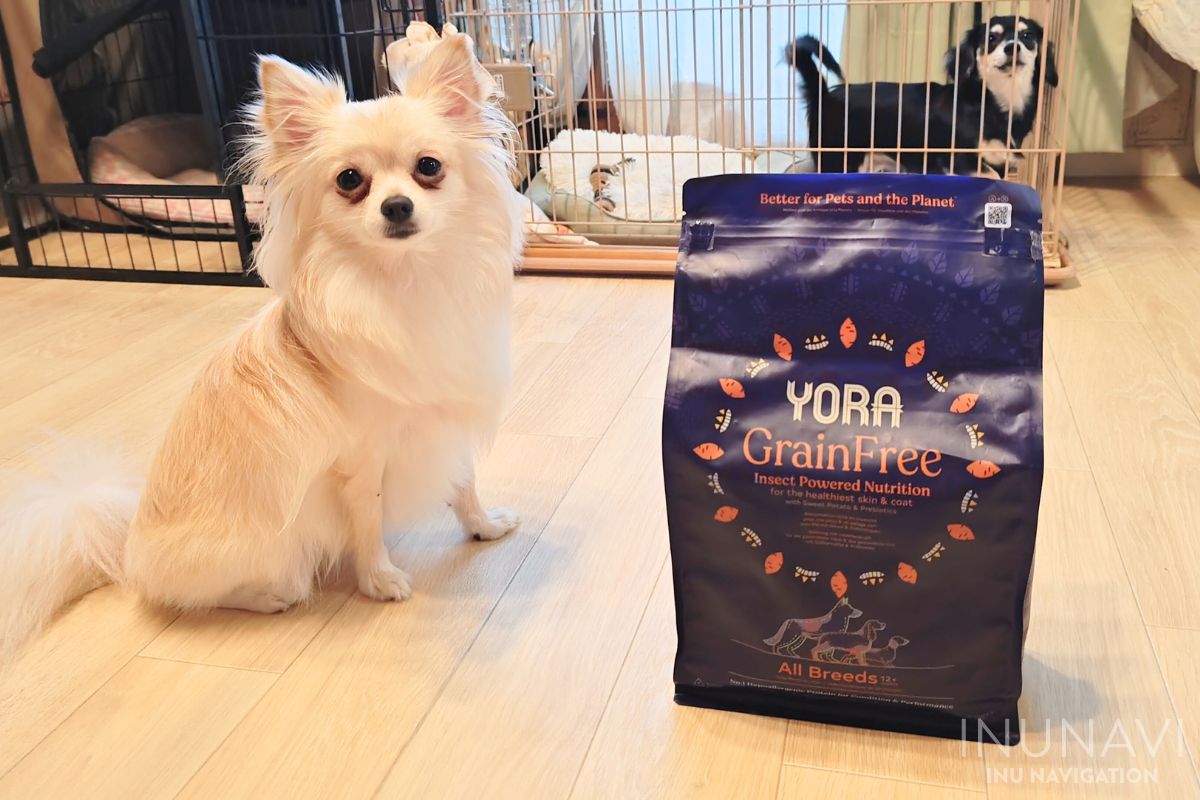 ヨラドッグフード YORA　と愛犬